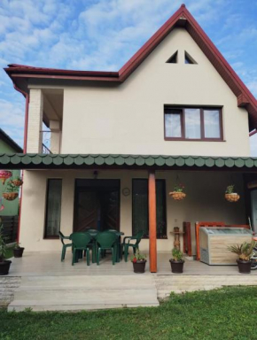 Casa Darius Cluj Cluj-Napoca